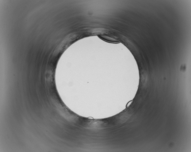 X0000112080379200909151119