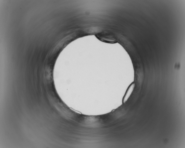 X0000112080380200909151119