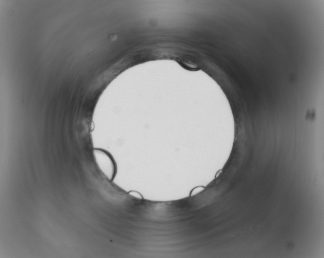 X0000112080382200909151119