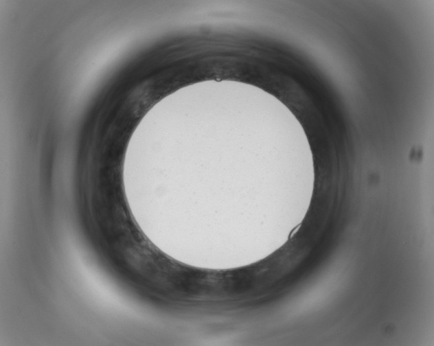 X0000112080383200909151119