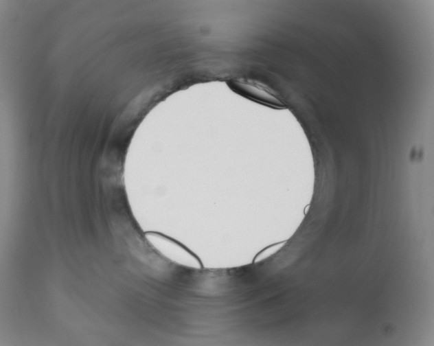 X0000112080384200909151119