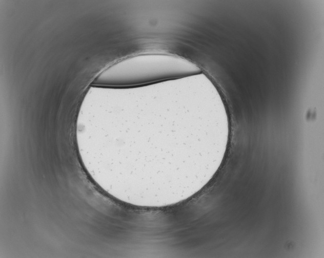 X0000112080385200909151118