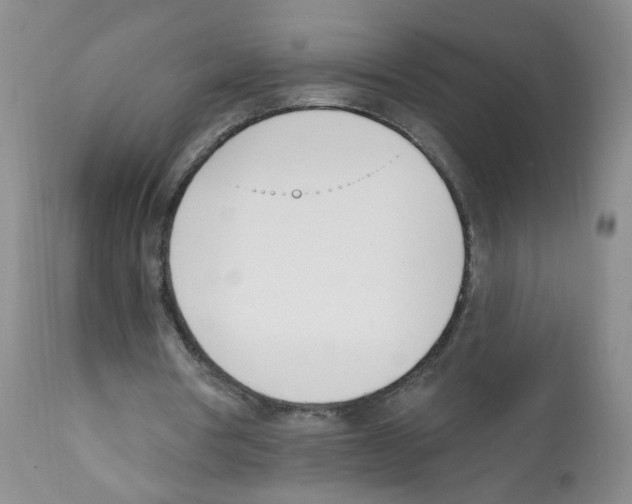 X0000112080386200909151118
