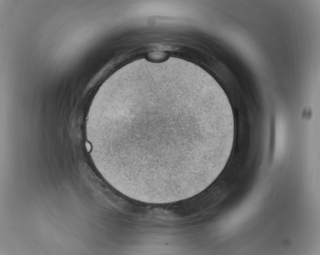 X0000112080387200909151118