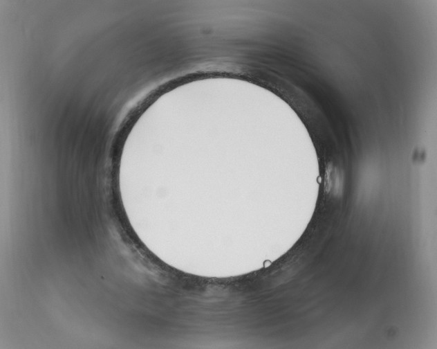 X0000112080388200909151118