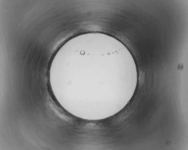 X0000112080390200909151118