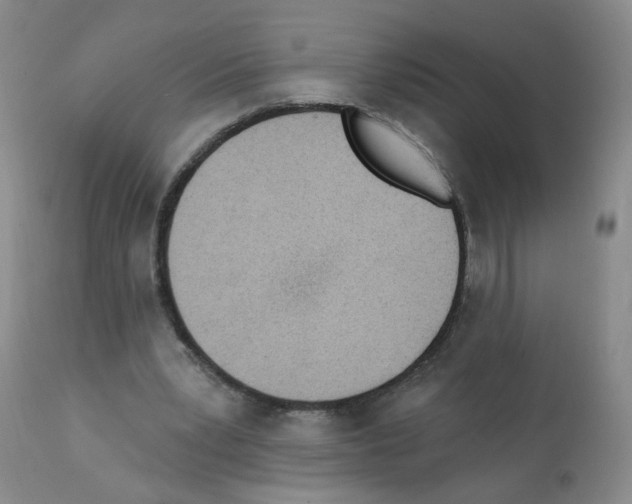 X0000112080391200909151118