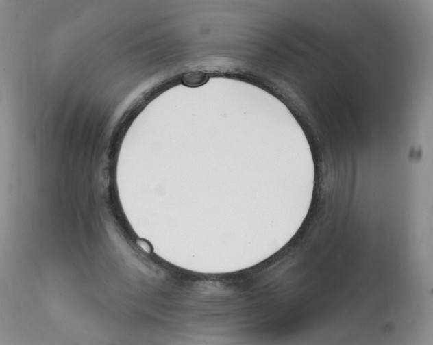 X0000112080392200909151118