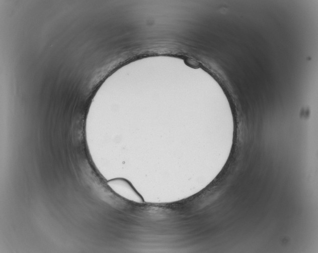X0000112080393200909151118