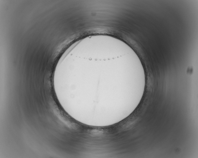 X0000112080394200909151118