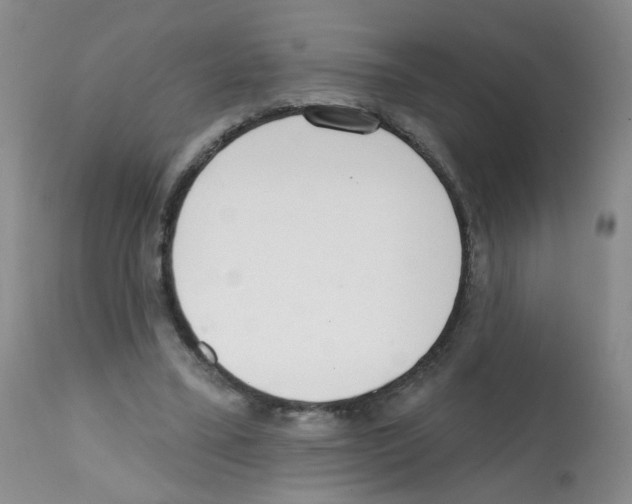 X0000112080395200909151118