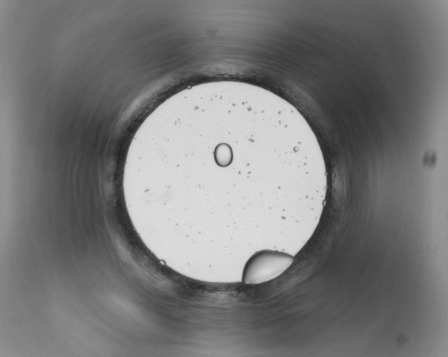 X0000112080396200909151118