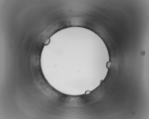 X0000112080401200909151118