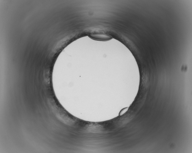 X0000112080403200909151118