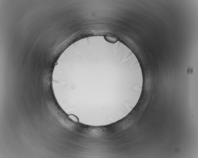 X0000112080405200909151118