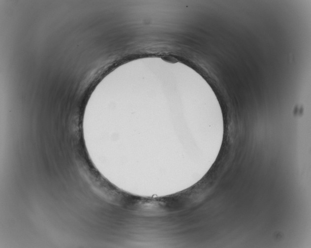 X0000112080407200909151118