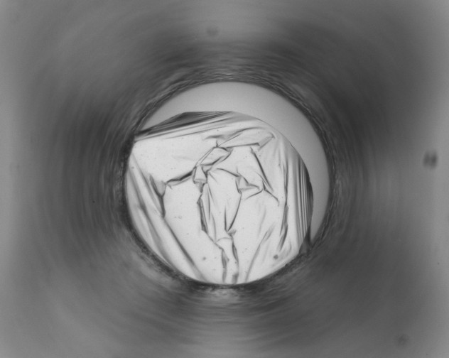 X0000112080409200909151118