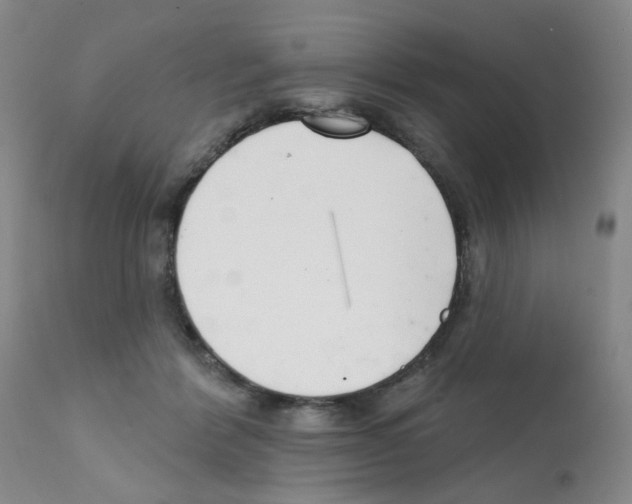 X0000112080412200909151118