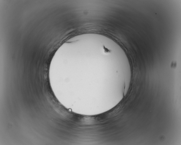 X0000112080413200909151118
