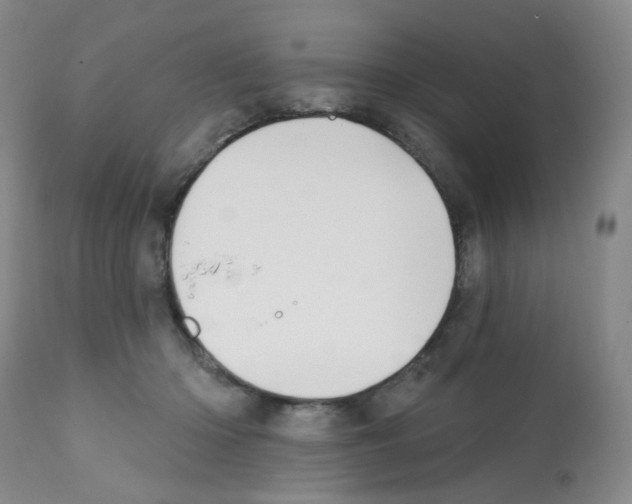 X0000112080414200909151118