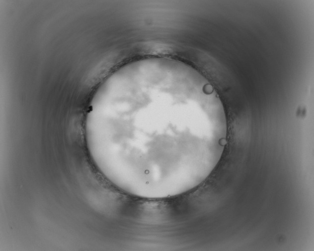 X0000112080415200909151118