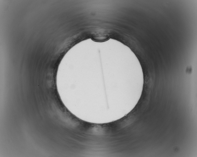 X0000112080416200909151118