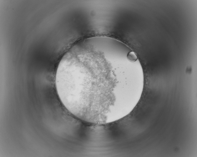 X0000112080419200909151117