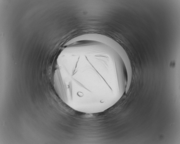X0000112080425200909151117