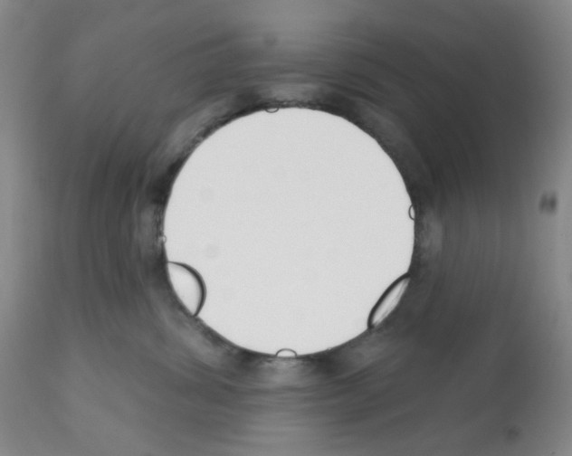 X0000112080428200909151117