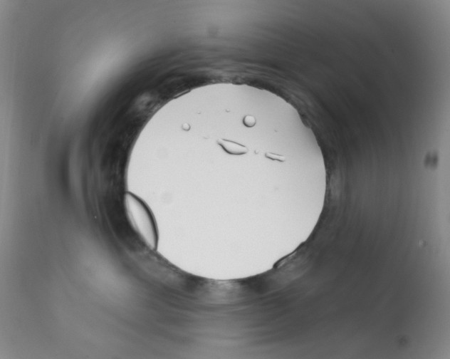 X0000112080429200909151117