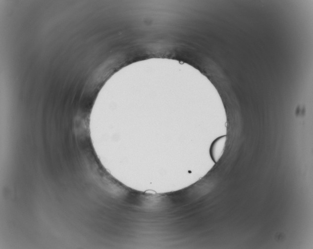 X0000112080432200909151117