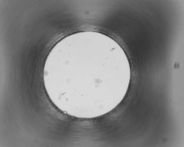 X0000112080433200909151117