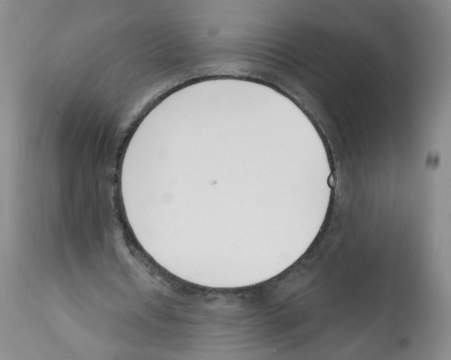 X0000112080434200909151117