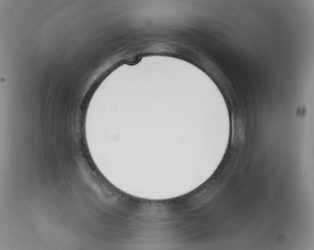 X0000112080435200909151117