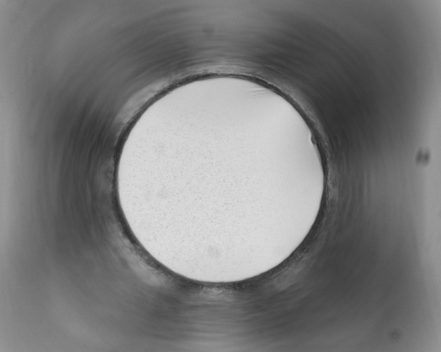 X0000112080437200909151117