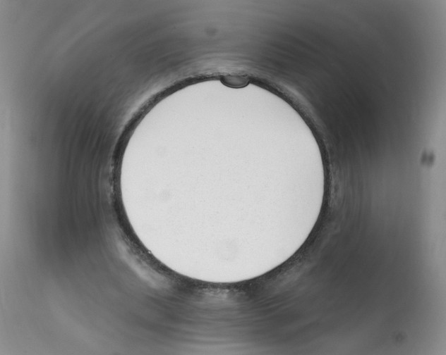 X0000112080439200909151117