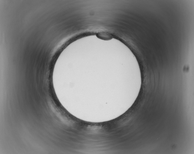 X0000112080440200909151117
