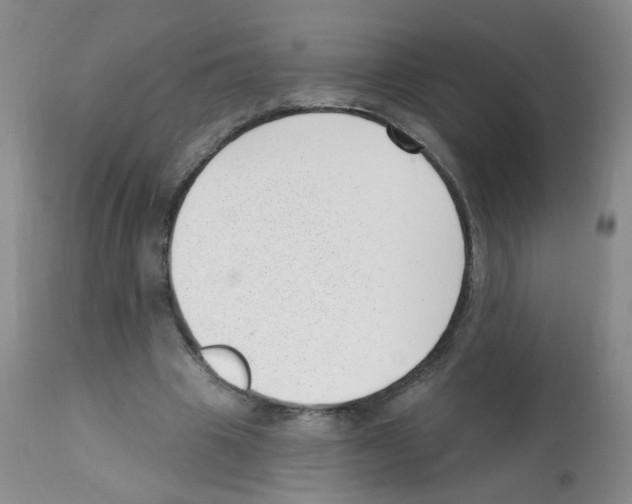 X0000112080441200909151117
