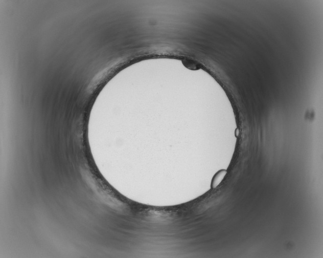 X0000112080442200909151117