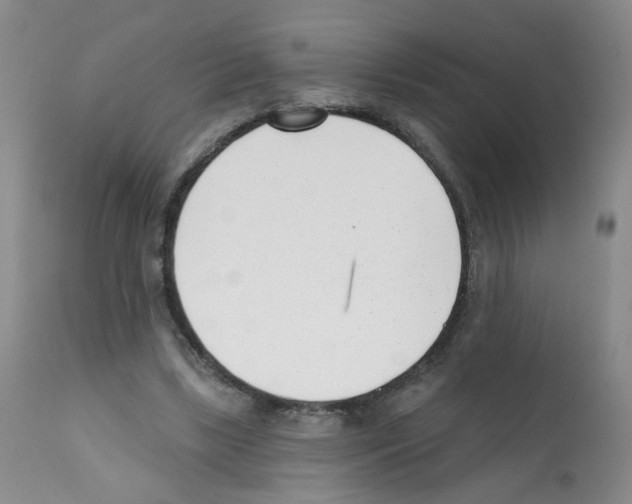X0000112080443200909151117
