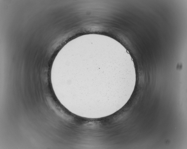 X0000112080447200909151117
