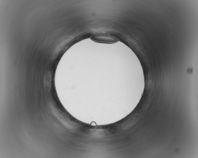 X0000112080448200909151117