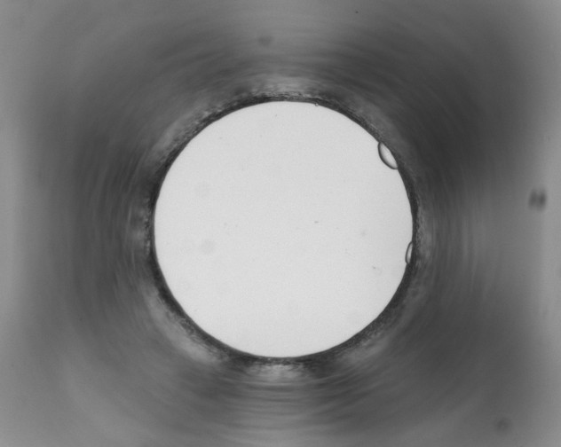 X0000112080449200909151117