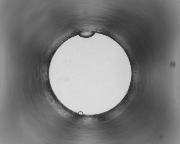 X0000112080453200909151117