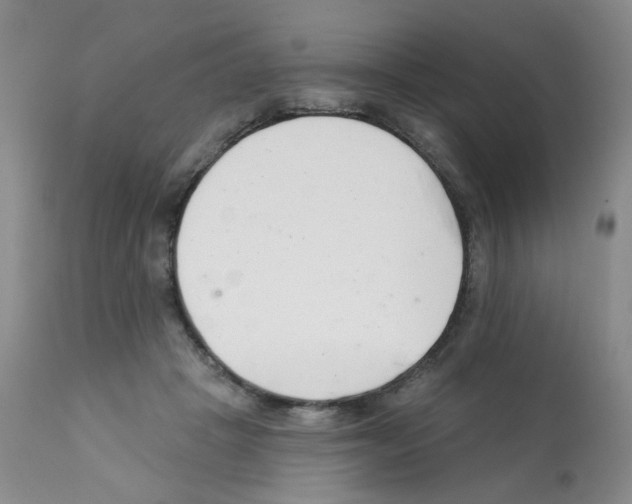 X0000112080457200909151117