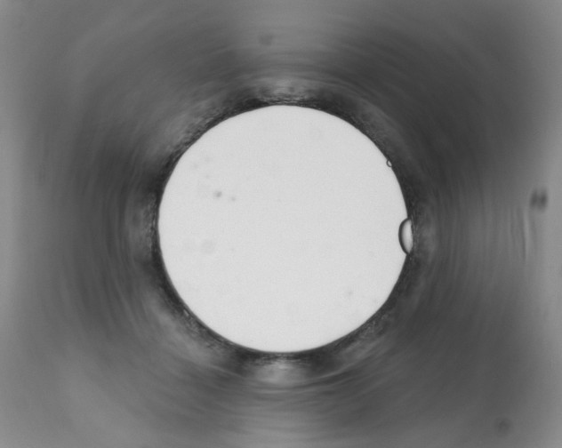 X0000112080460200909151117