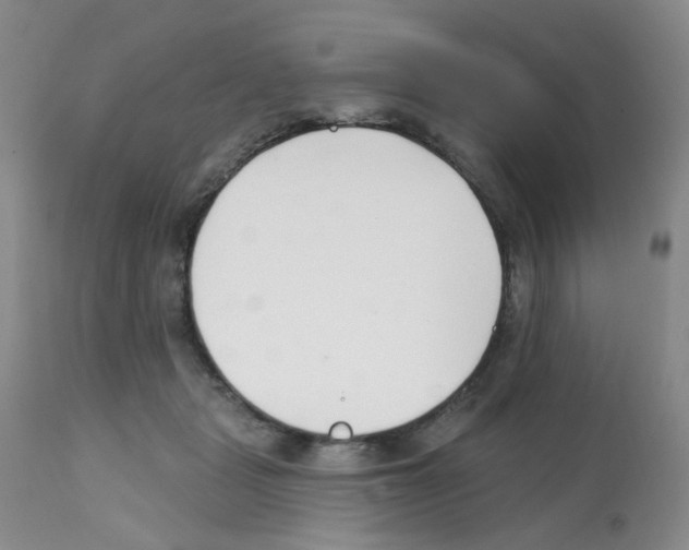 X0000112080461200909151117
