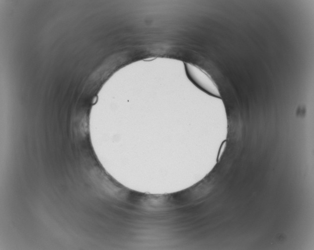 X0000112080479200909151117