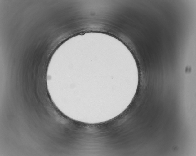 X0000112080481200909151117