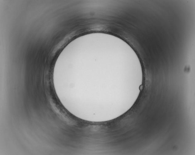 X0000112080482200909151117